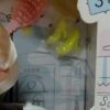 عروسک بچه باربی مفصلی ماشین‌سوار همراه با ماشین ۲۵ سانتی و اکسسوری کامل