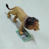 فیگور شیر وحشی با طراحی واقعی و جزئیات دقیق، مناسب برای دکور و کلکسیون