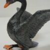 فیگور قو سیاه فیگور پرندگان